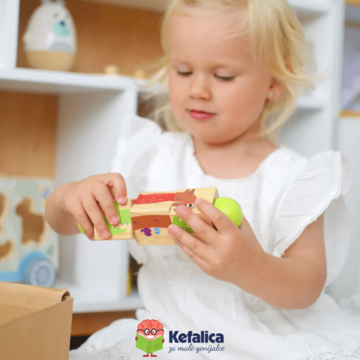 100404 Veliki edukativni paket (19-24m) - Image 4