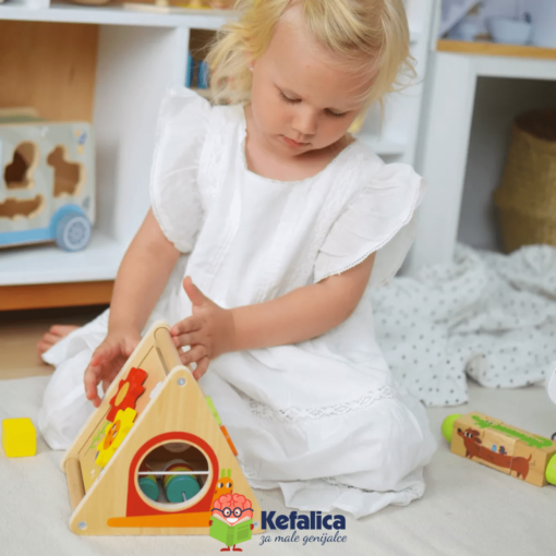 100404 Veliki edukativni paket (19-24m) - Image 5