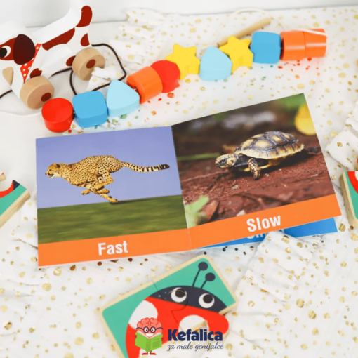 100404 Veliki edukativni paket (19-24m) - Image 9