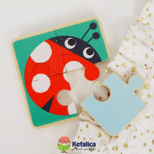 100404 Veliki edukativni paket (19-24m) - Image 10